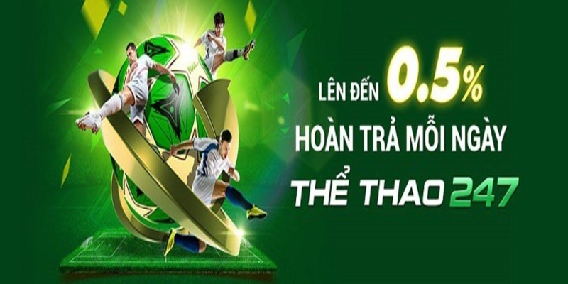 Giới thiệu về hoàn trả thể thao 0.8% VN88